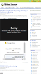 Mobile Screenshot of misko.hevery.com